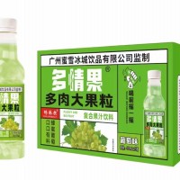 多qing果多肉大果粒葡萄味450mlx15瓶