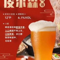 青岛欧劲啤酒厂家pp电子官网加盟 精酿果啤